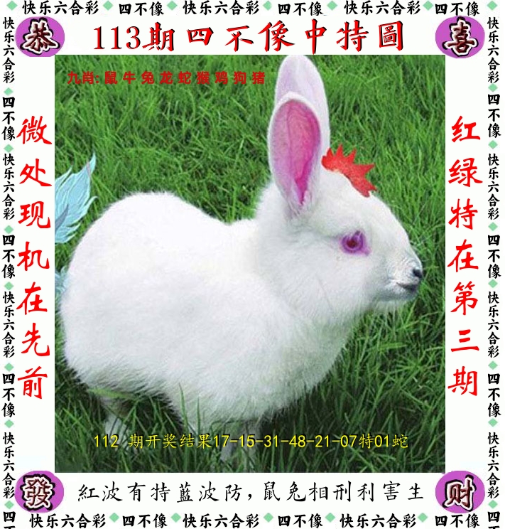 四不像 第113期