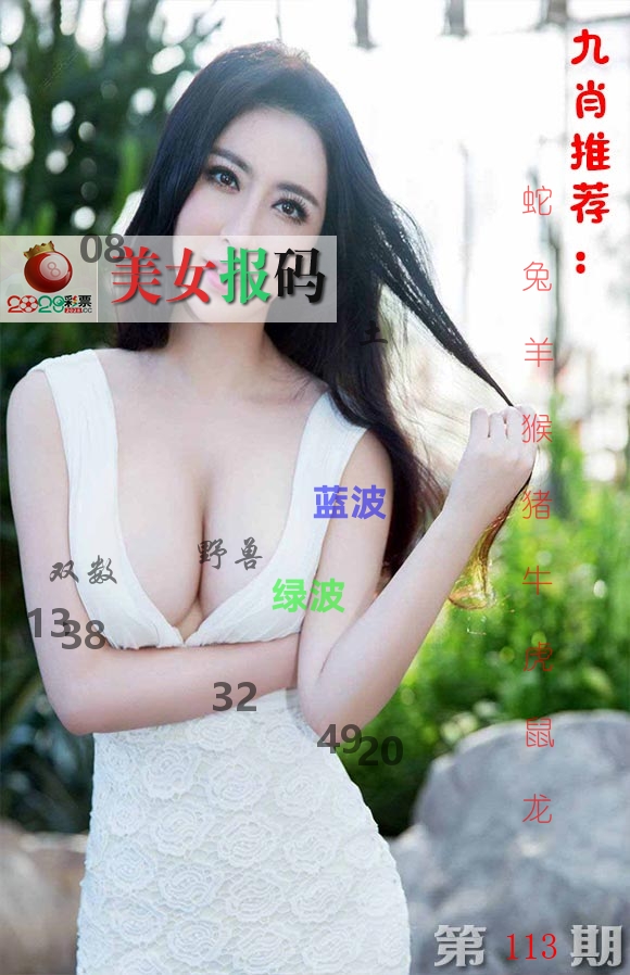 美女报码 第113期