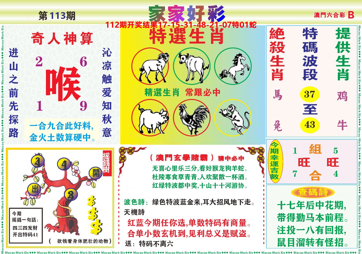 家家好彩B 第113期