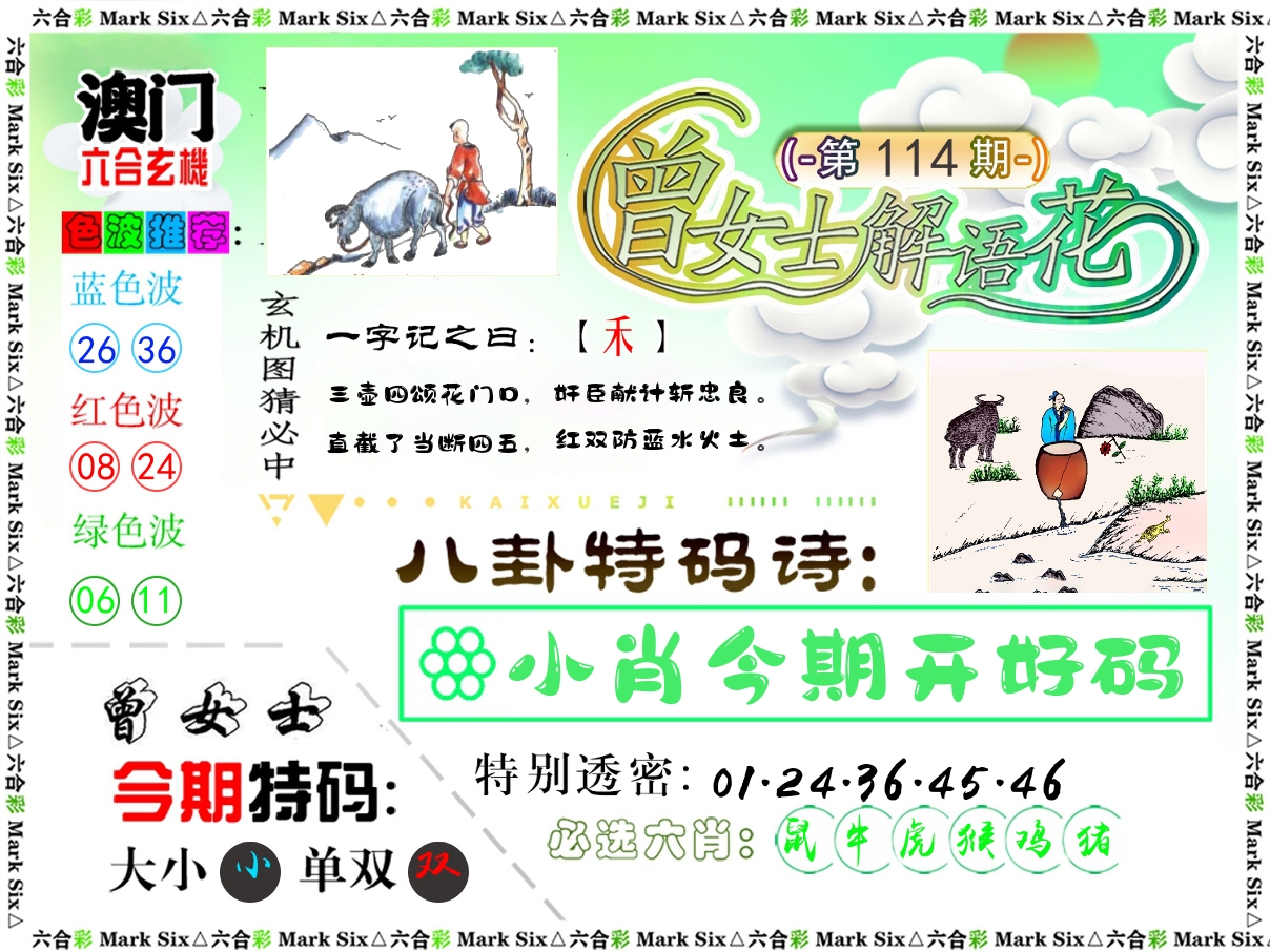 曾女士解语花 第114期