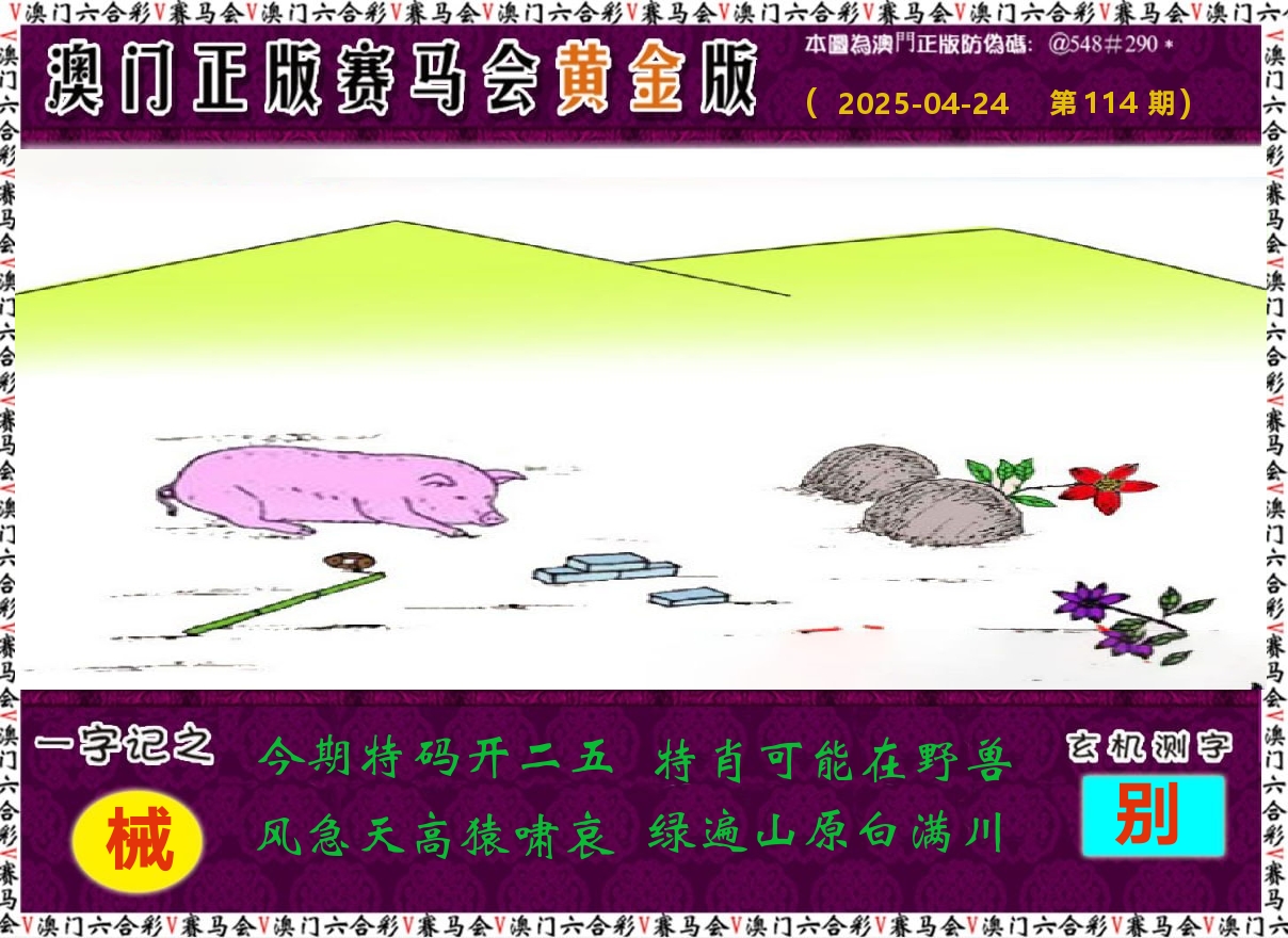 赛马会黄金版 第114期