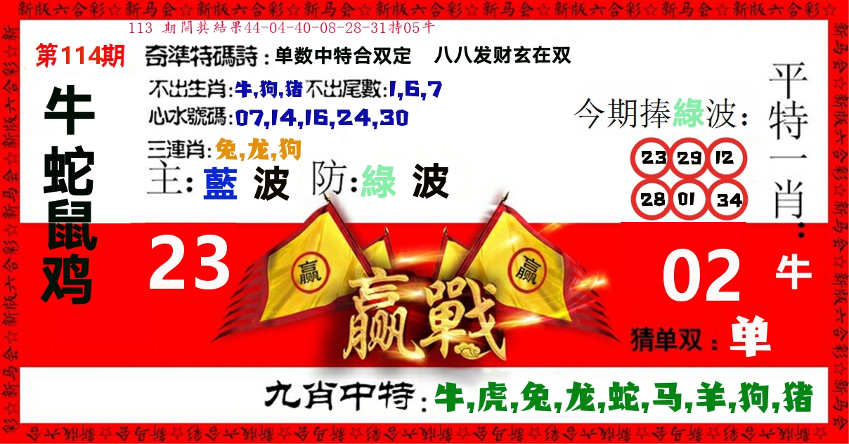 赢站 第114期