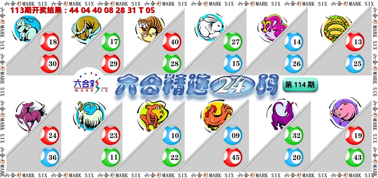 六合精选24码 第114期