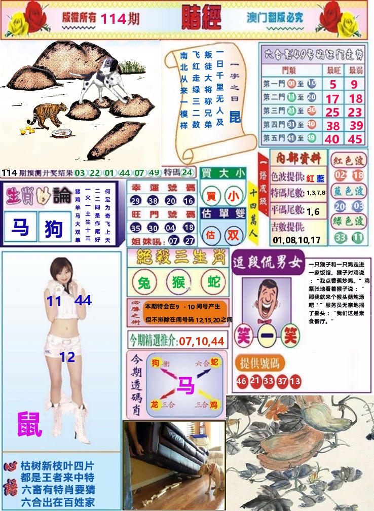 澳门赌经 第114期