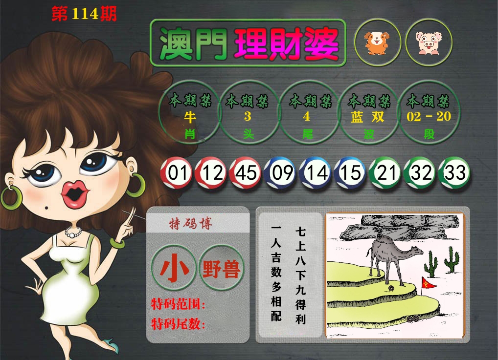 理财婆 第114期
