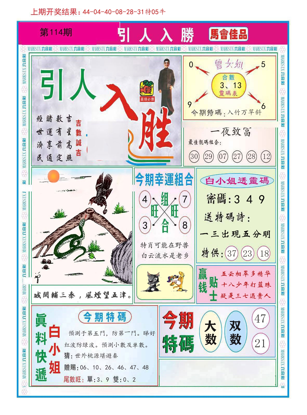 引人入胜 第114期