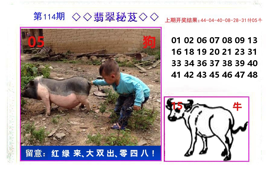 翡翠秘芨 第114期