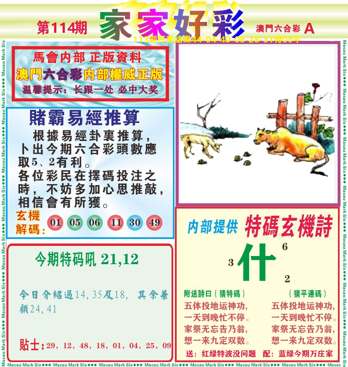 家家好彩A 第114期