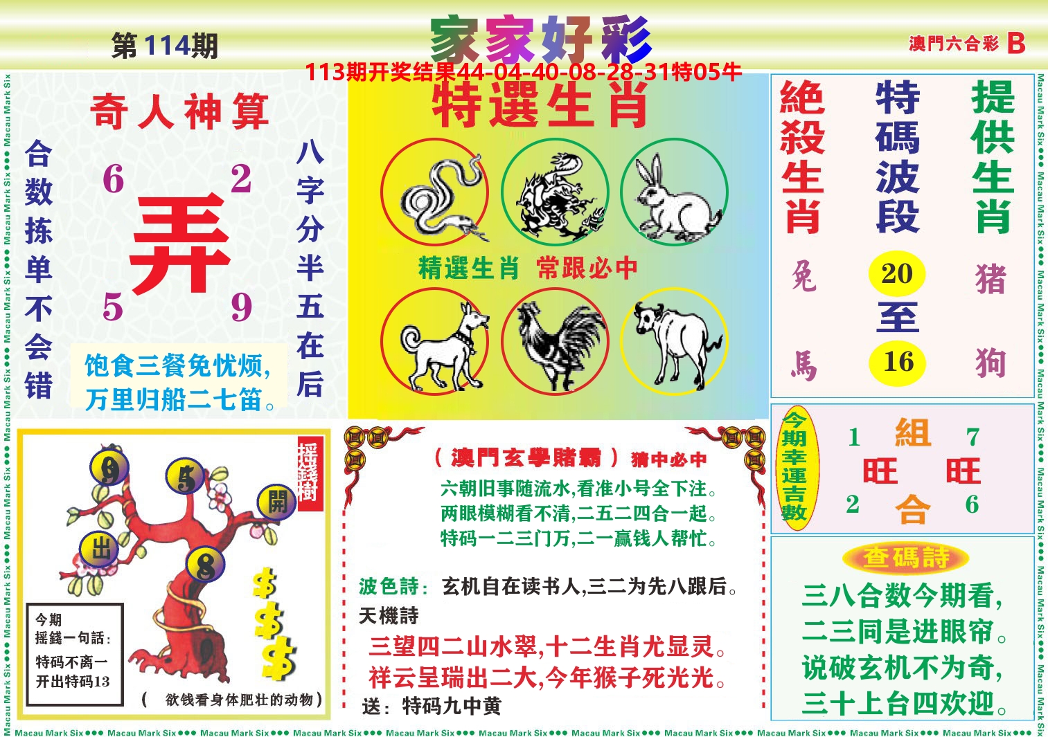 家家好彩B 第114期
