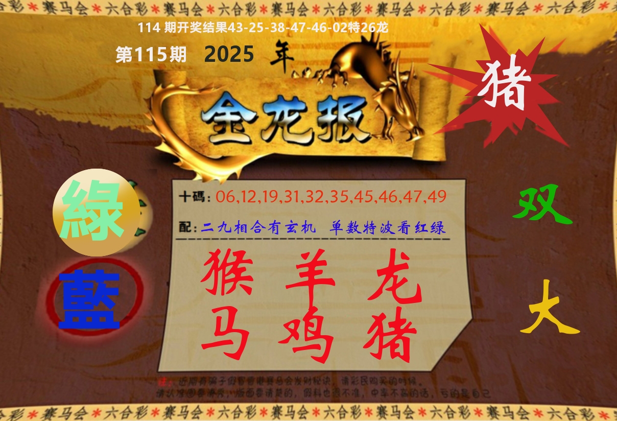 金龙报 第115期