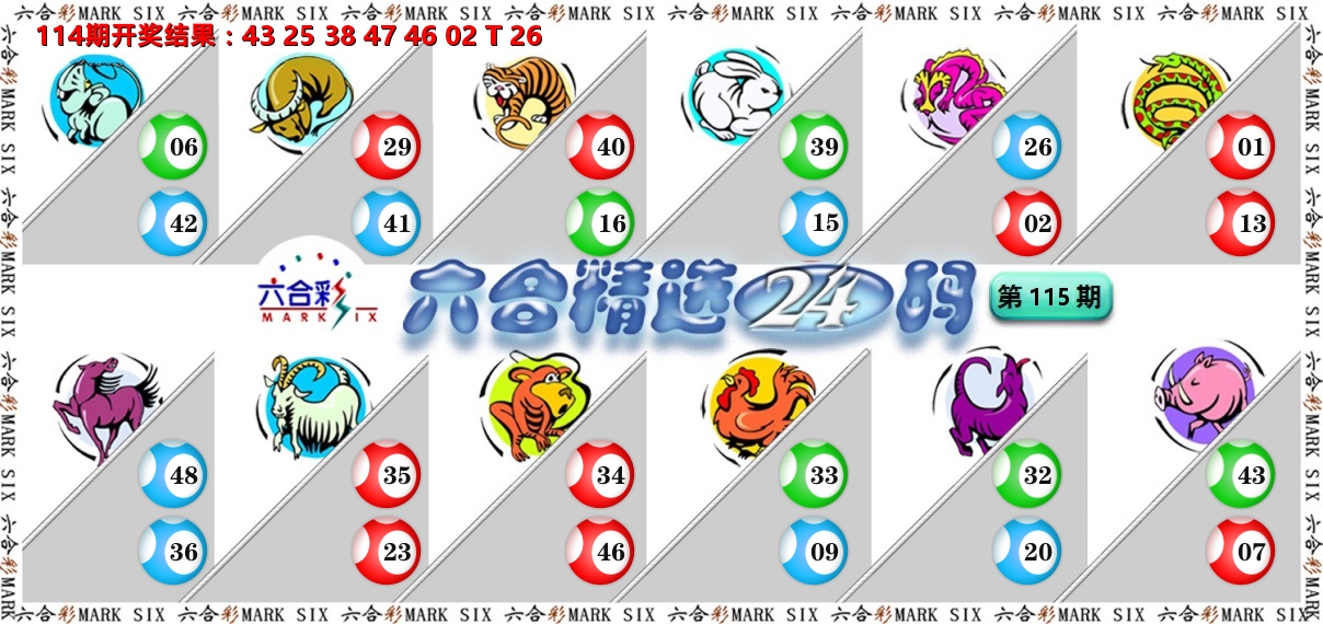 六合精选24码 第115期