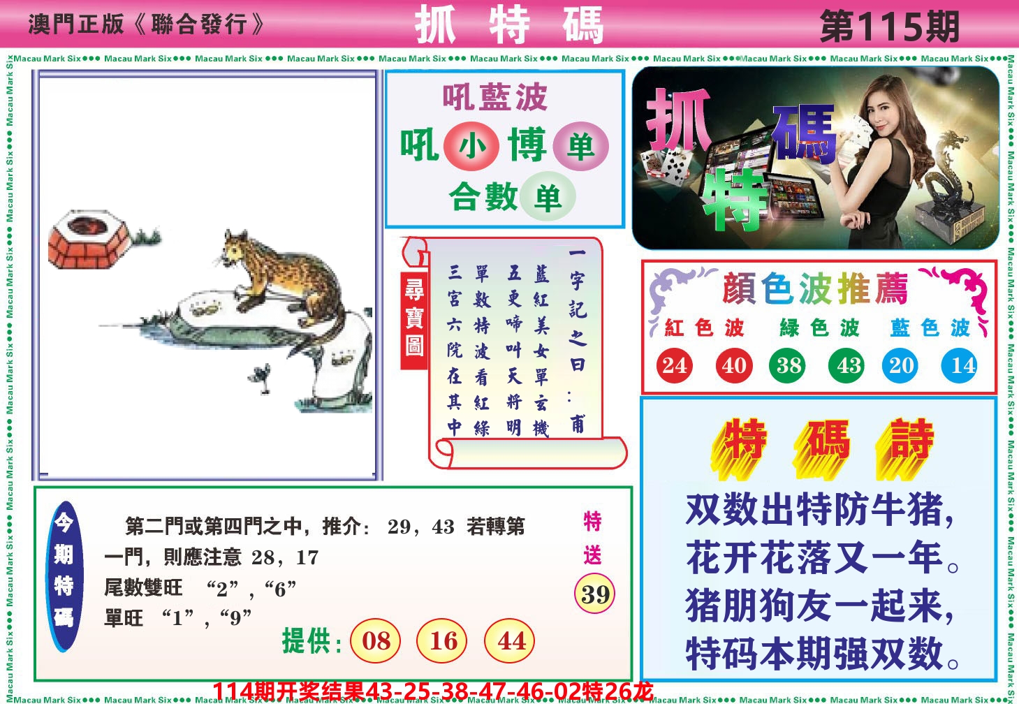 澳门抓特码A 第115期
