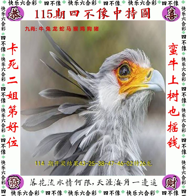 四不像 第115期