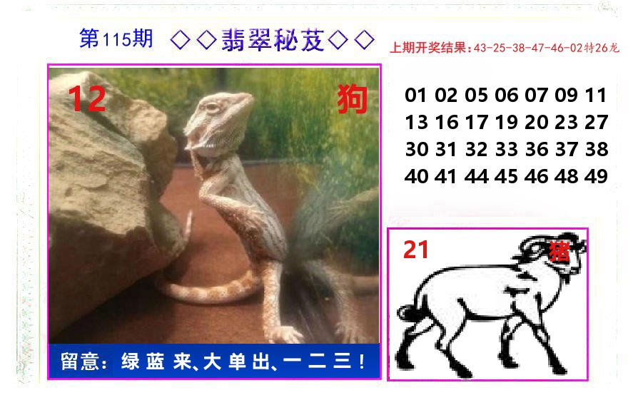 翡翠秘芨 第115期