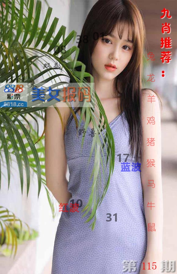 美女报码 第115期
