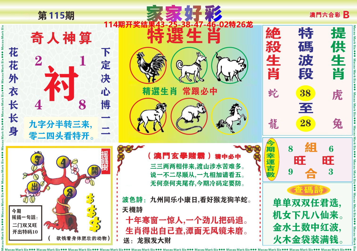 家家好彩B 第115期