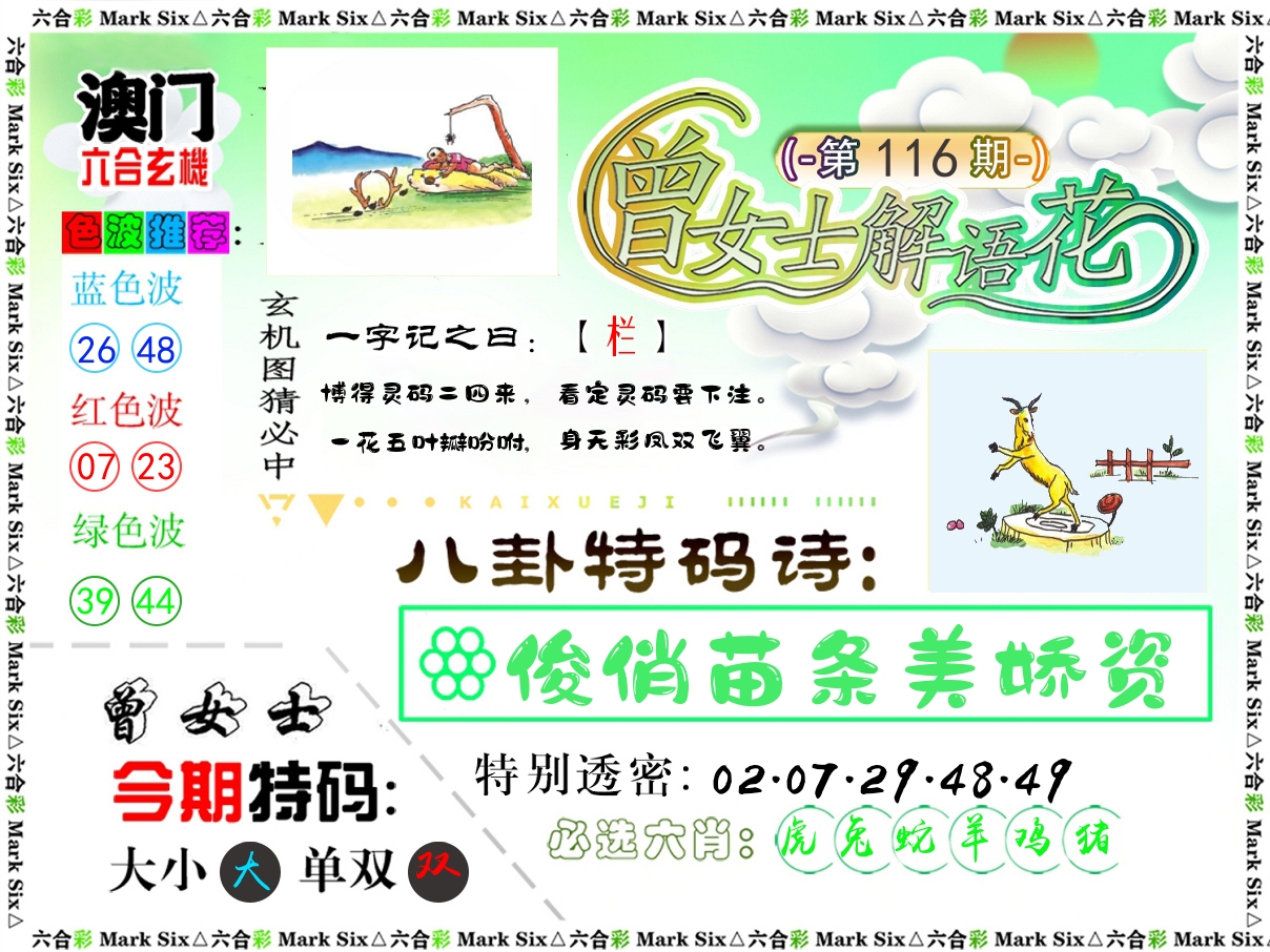 曾女士解语花 第116期