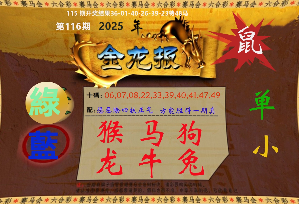 金龙报 第116期
