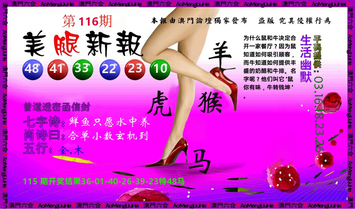 美腿新报 第116期
