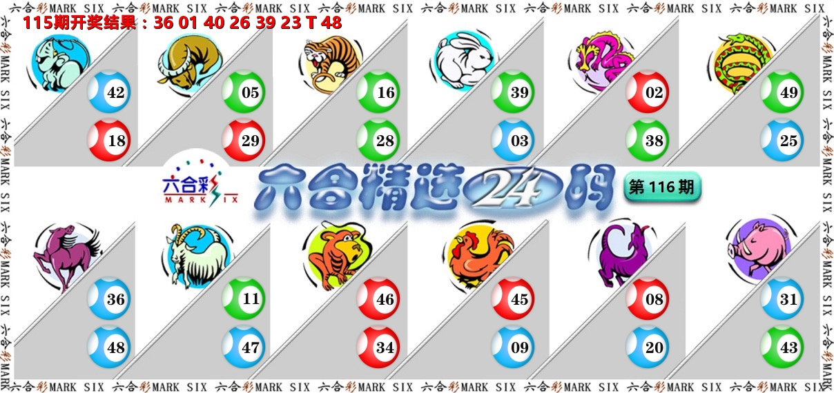 六合精选24码 第116期