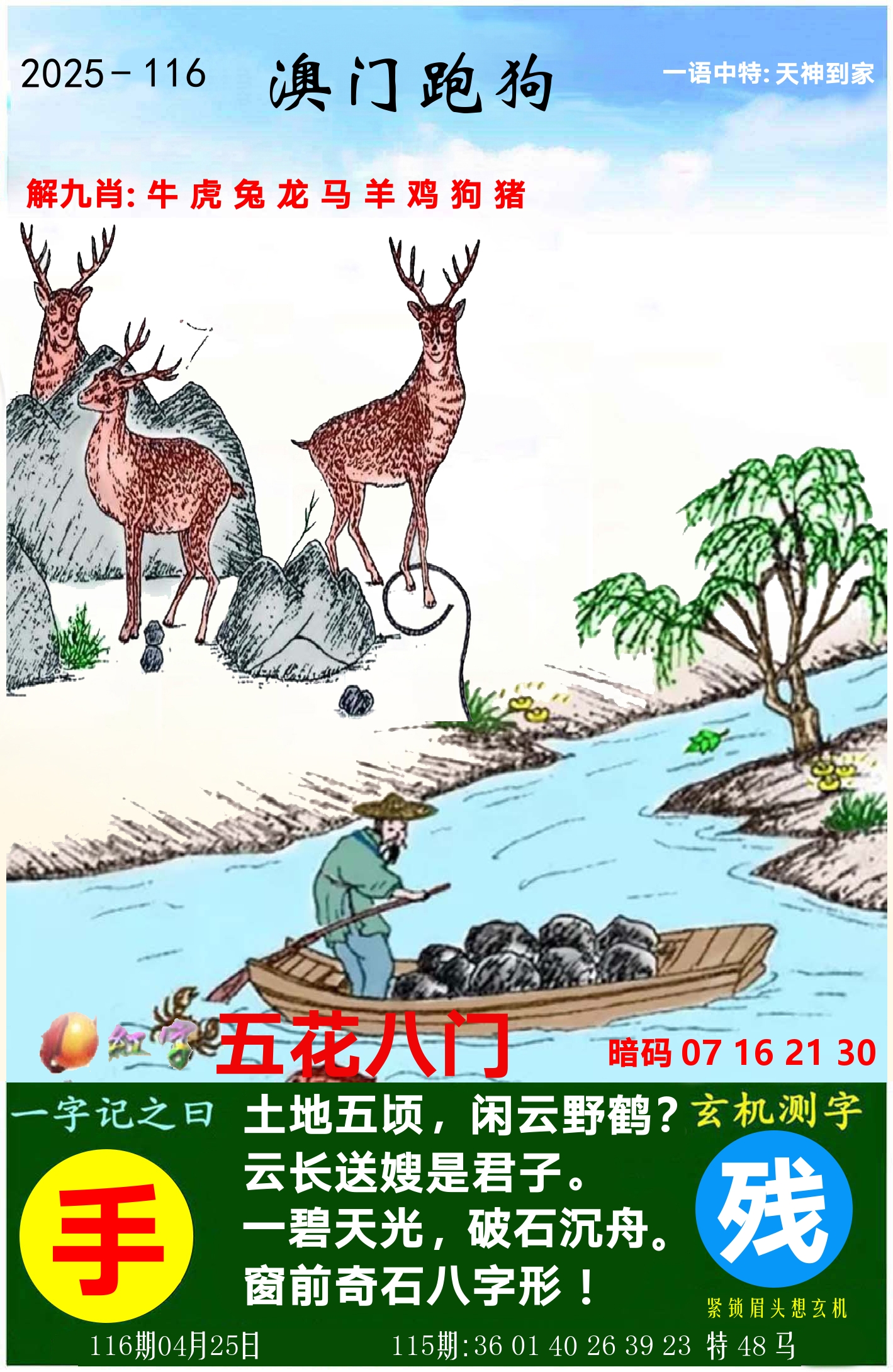 澳门跑狗图 第116期