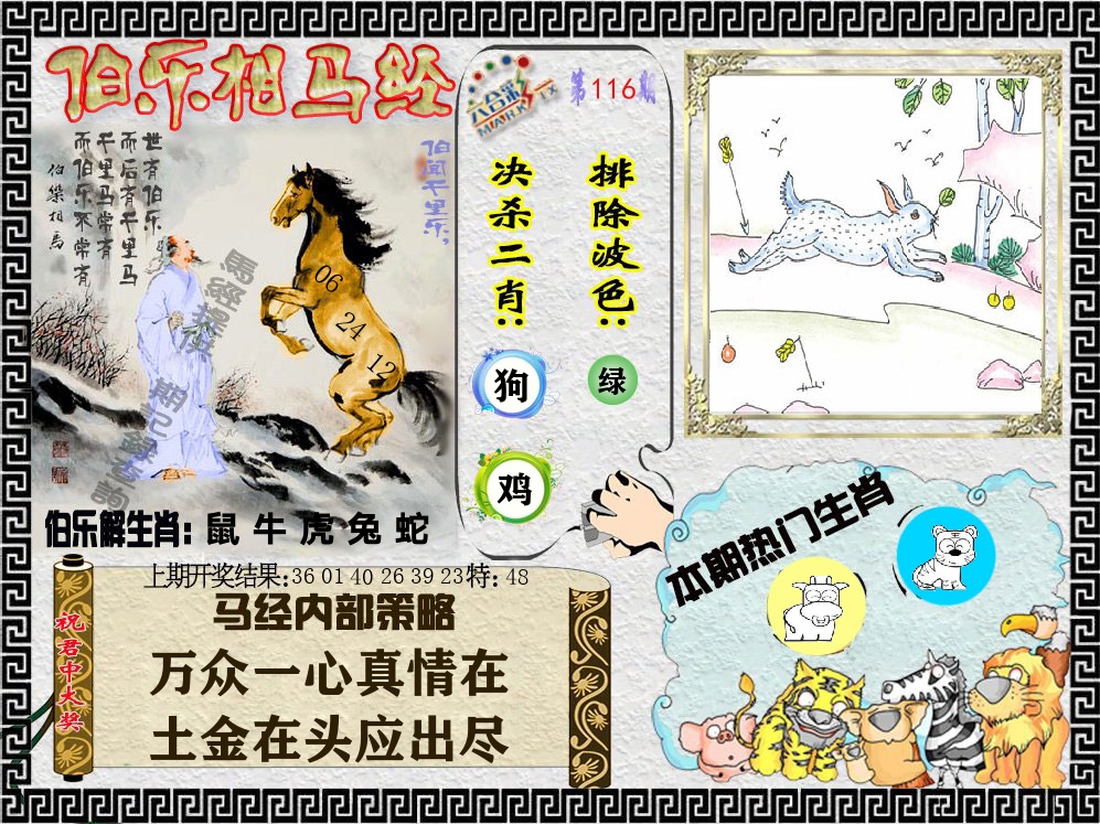 伯乐相马经 第116期