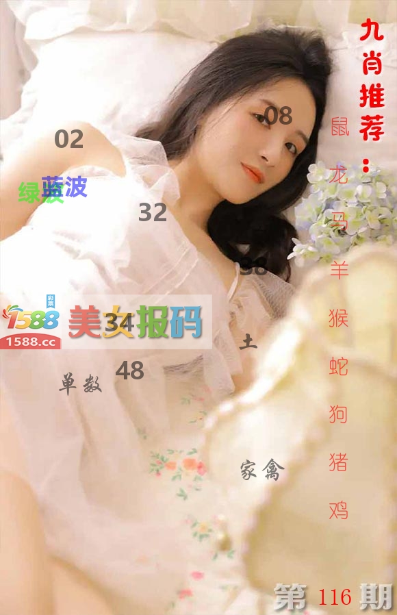 美女报码 第116期