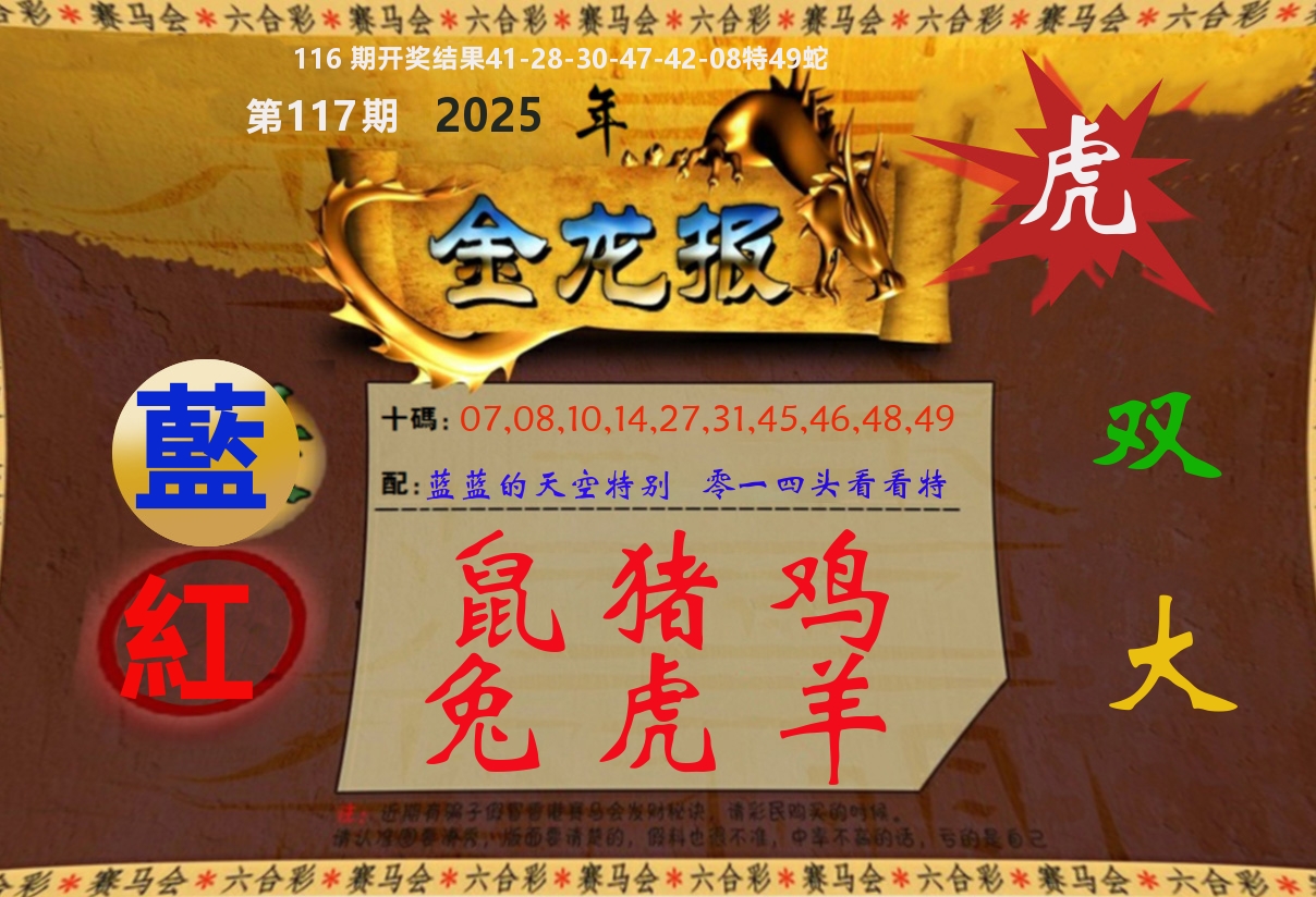 金龙报 第117期