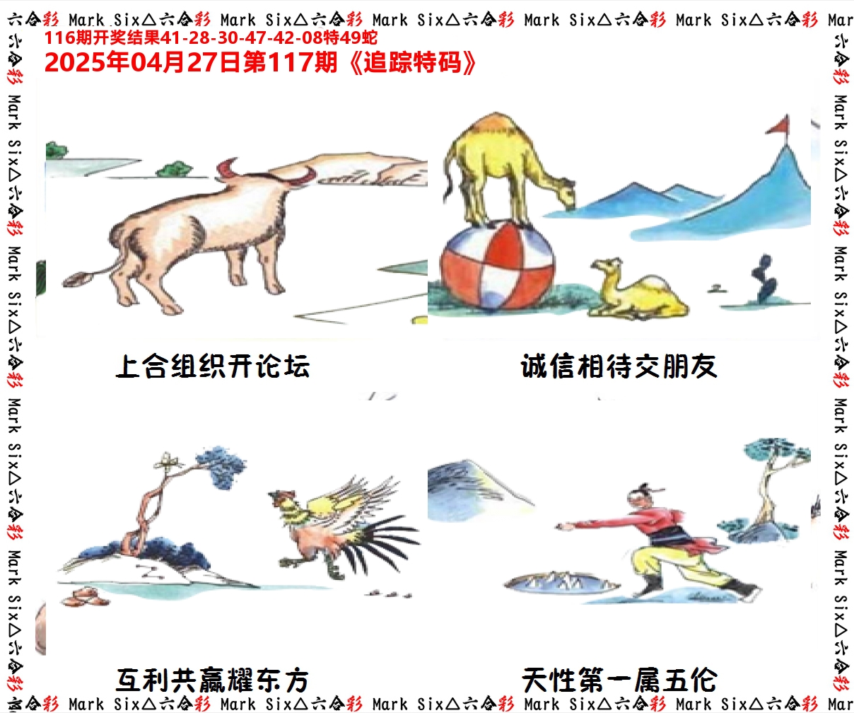 追踪特码 第117期