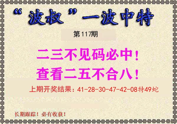 波叔中特 第117期