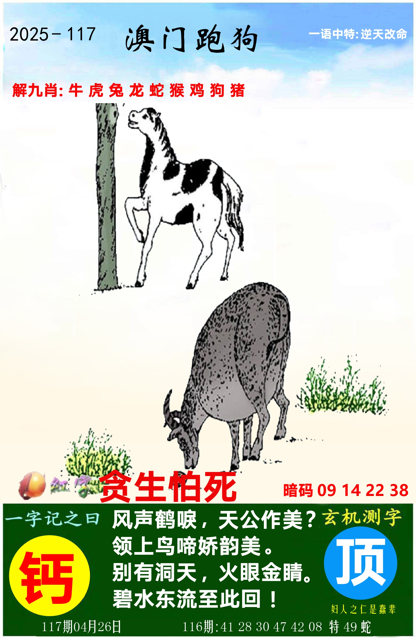 澳门跑狗图 第117期
