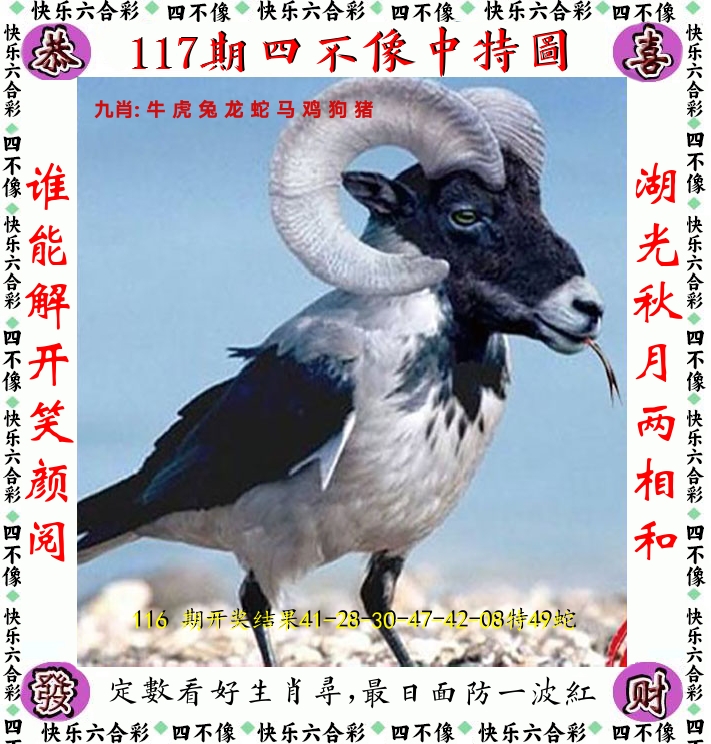 四不像 第117期