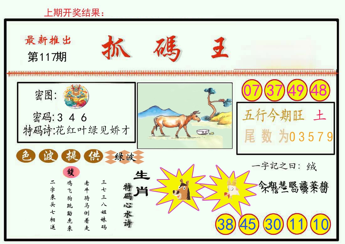 最新抓码王 第117期