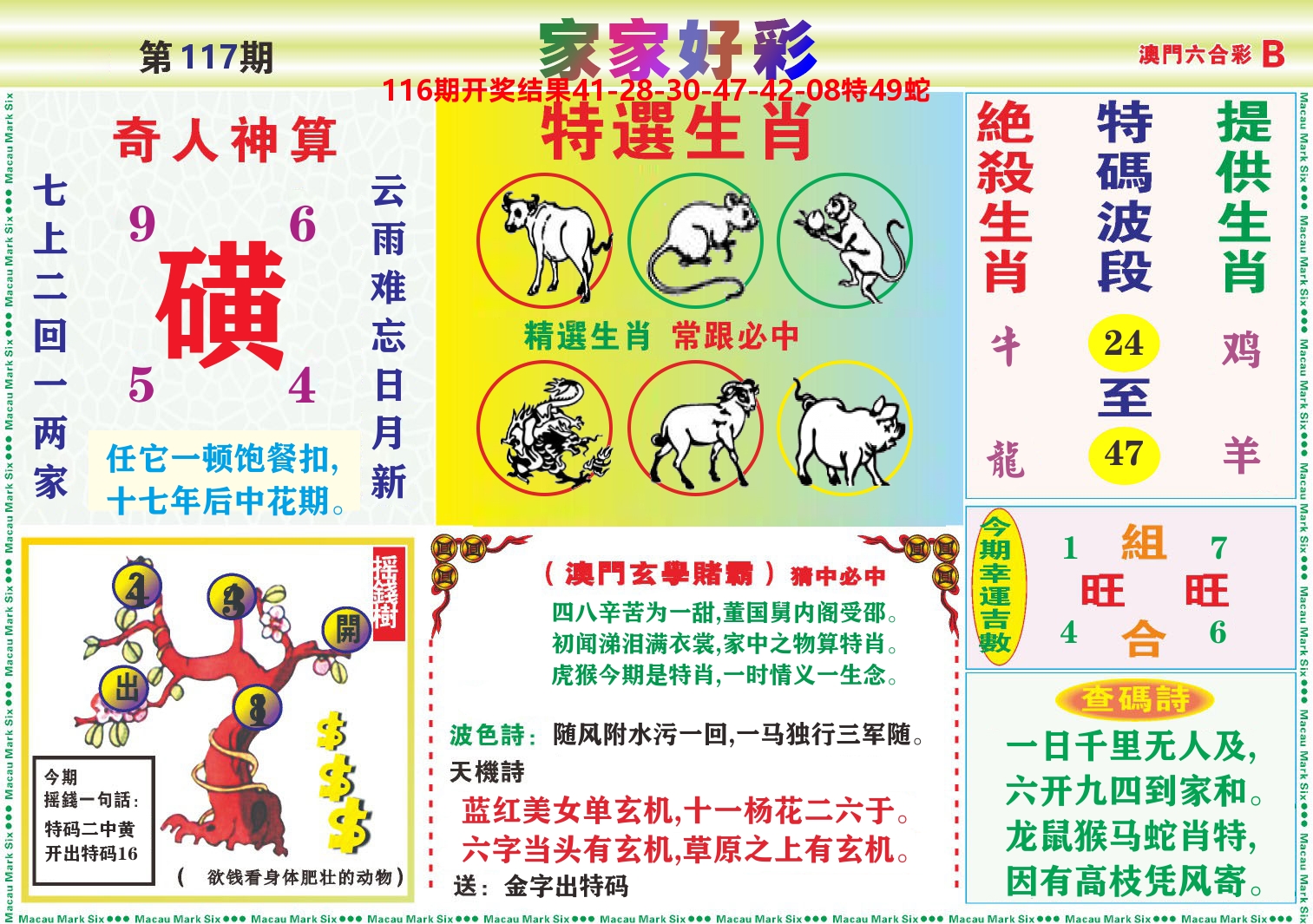 家家好彩B 第117期