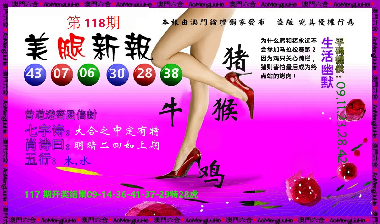 美腿新报 第118期