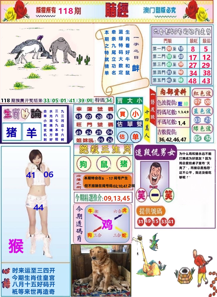 澳门赌经 第118期