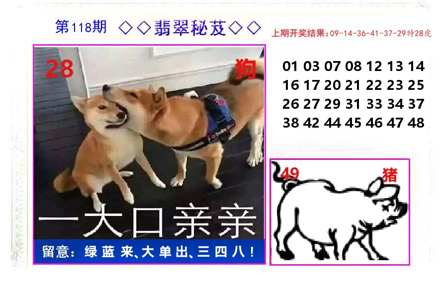 翡翠秘芨 第118期