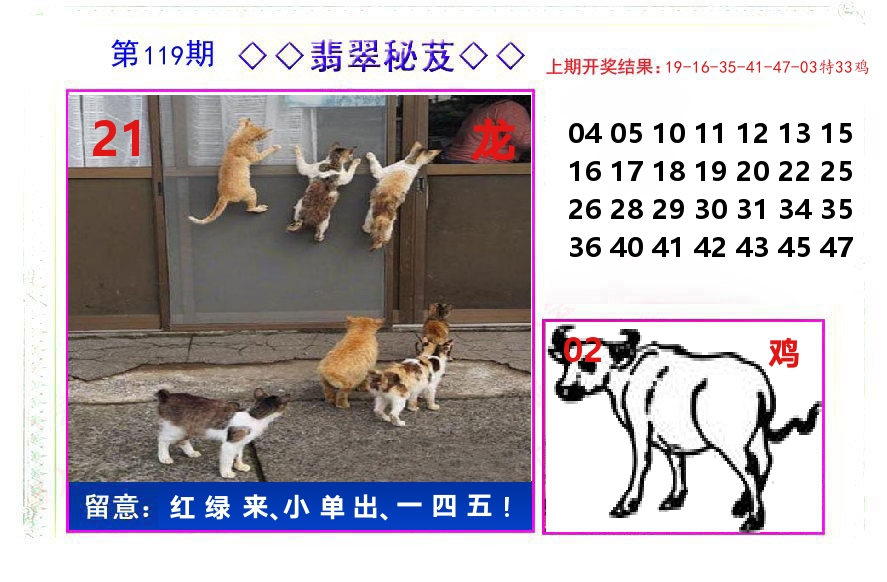 翡翠秘芨 第119期