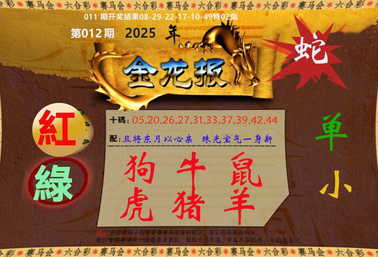 金龙报 第12期