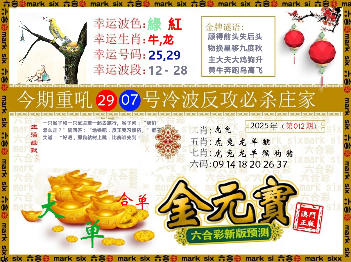 金元宝 第12期