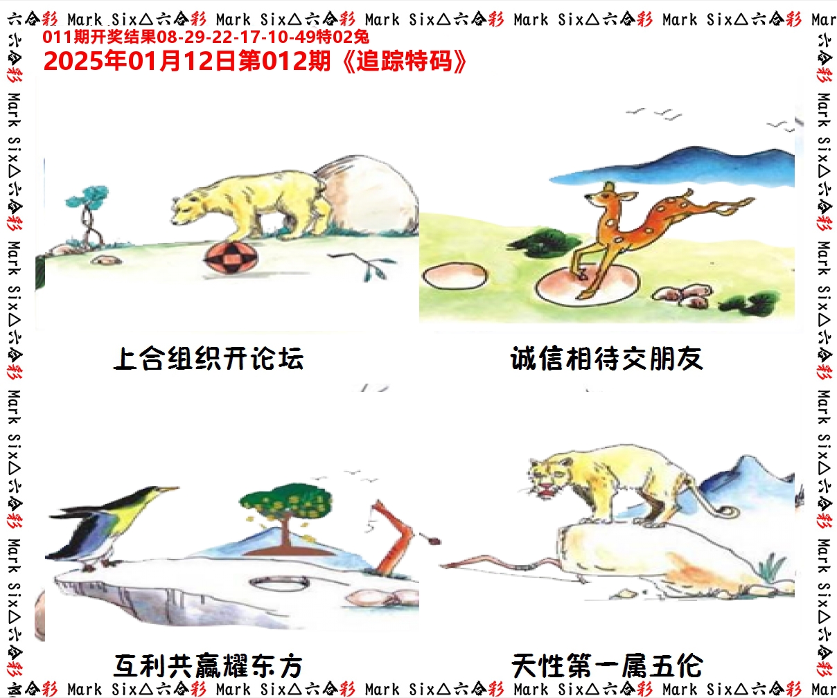追踪特码 第12期
