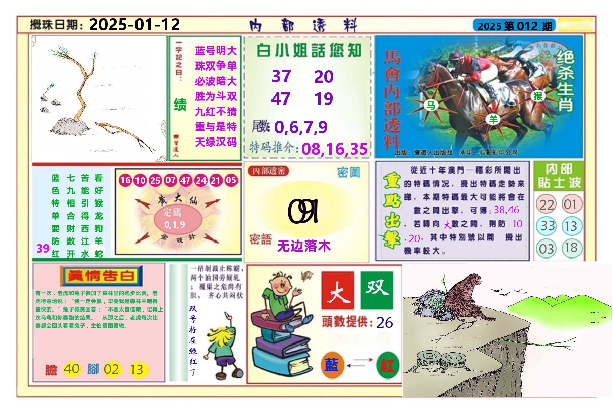 澳门内部透料A 第12期