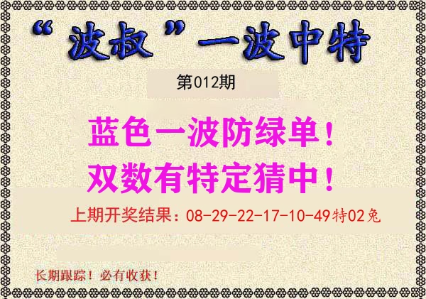 波叔中特 第12期