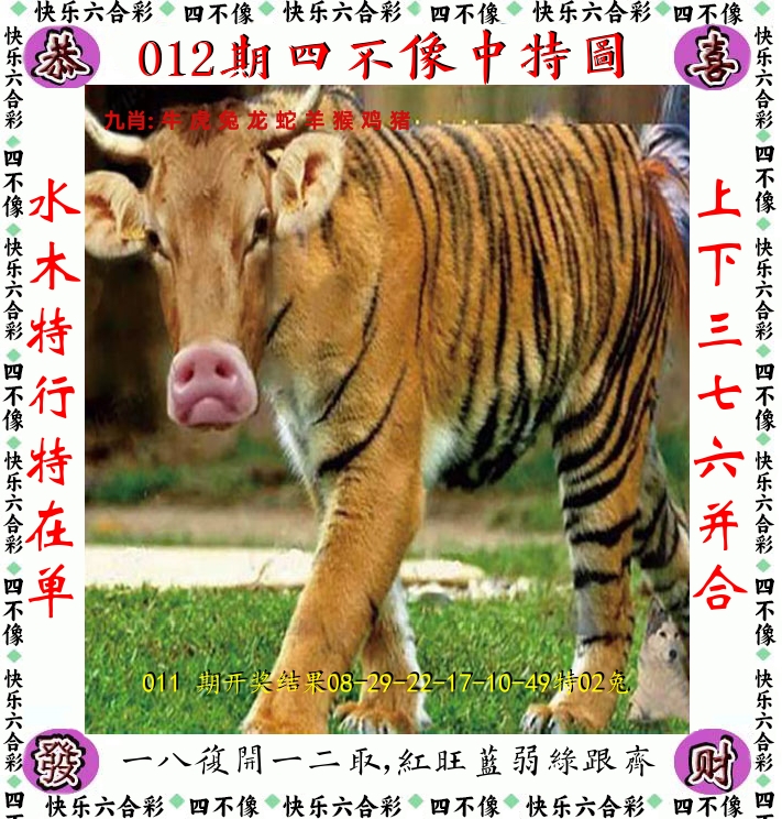 四不像 第12期