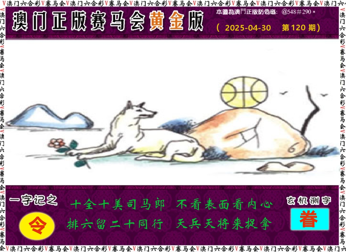 赛马会黄金版 第120期