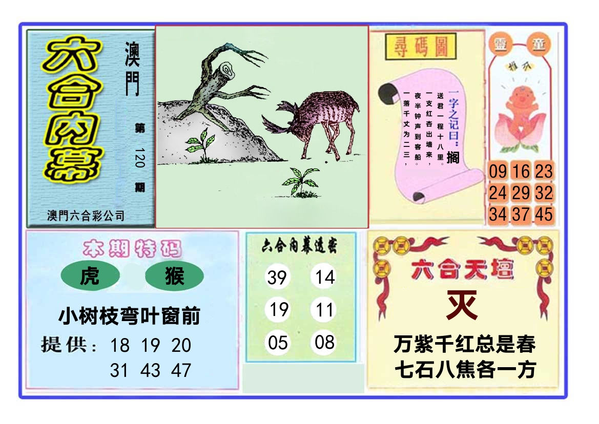 六合内幕 第120期