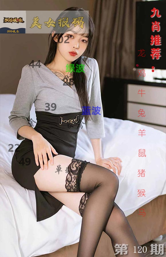 美女报码 第120期