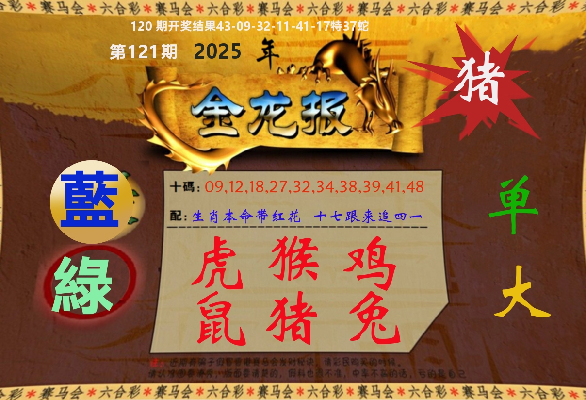 金龙报 第121期