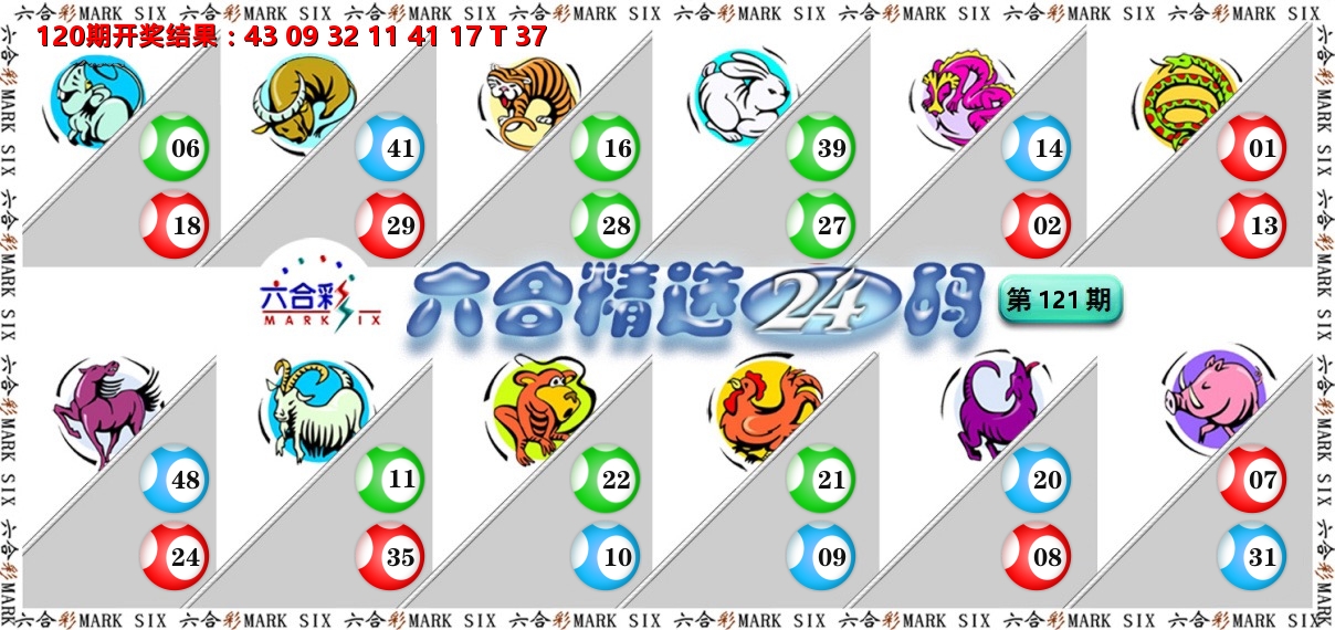 六合精选24码 第121期