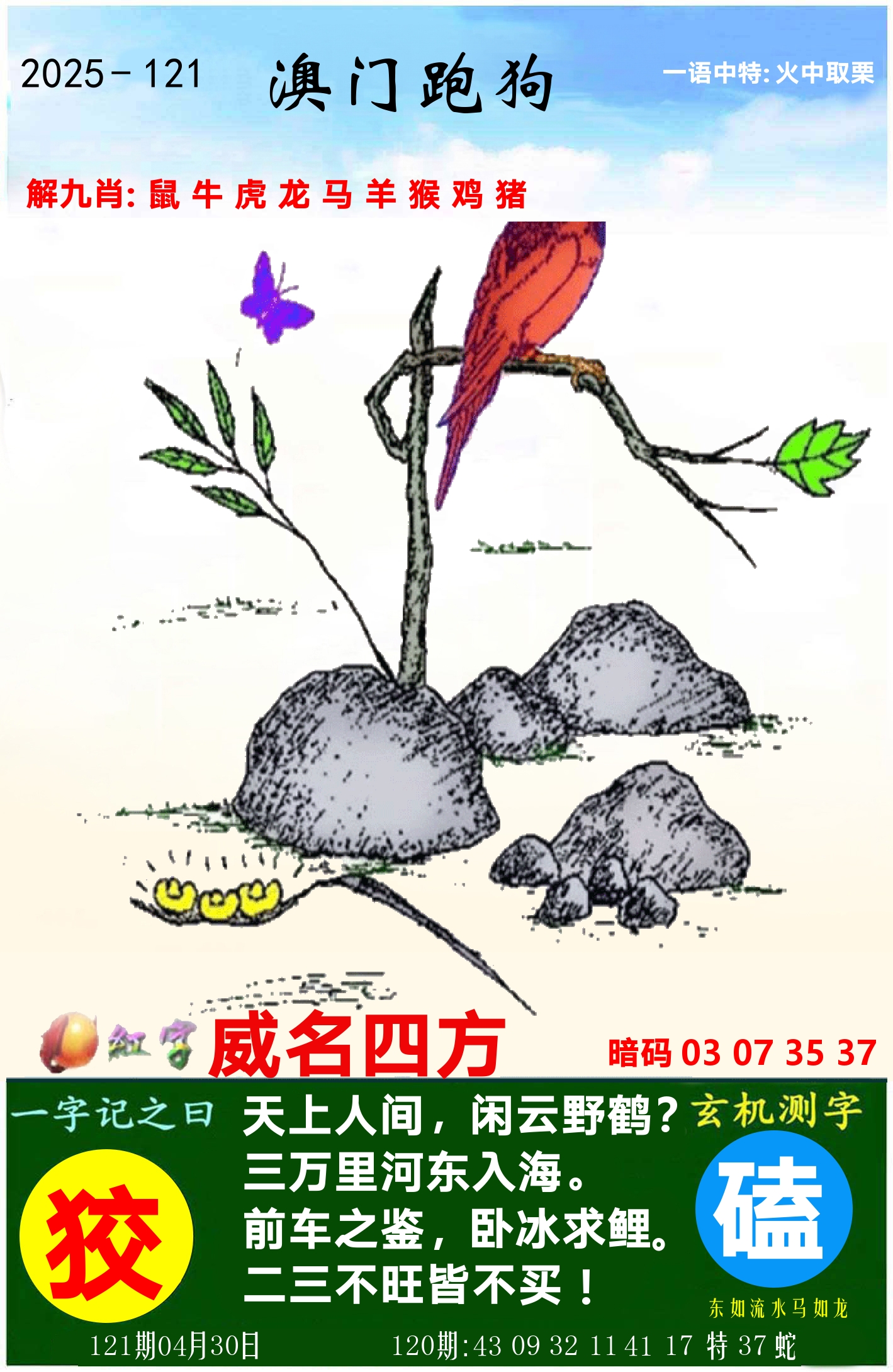 澳门跑狗图 第121期